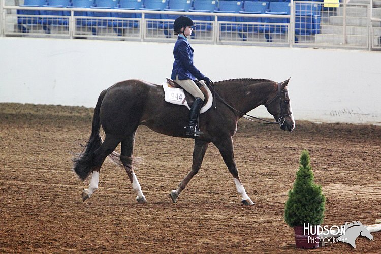 4H-State-SH-11_0220.JPG