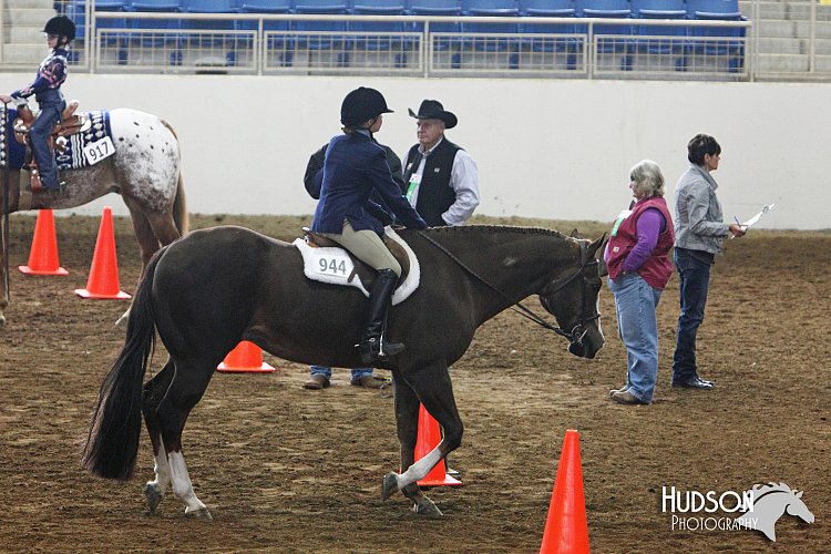 4H-State-SH-11_0247.JPG