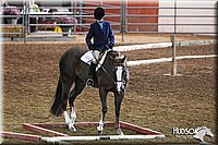 4H-State-SH-11_0236.JPG