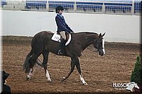 4H-State-SH-11_0237.JPG