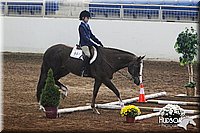 4H-State-SH-11_0238.JPG