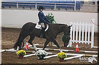 4H-State-SH-11_0239.JPG