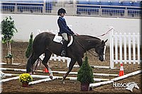 4H-State-SH-11_0240.JPG