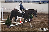 4H-State-SH-11_0241.JPG