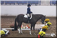 4H-State-SH-11_0243.JPG