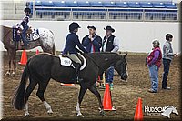 4H-State-SH-11_0246.JPG