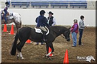 4H-State-SH-11_0247.JPG