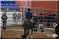 4H-State-SH-11_0250.JPG