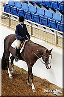 4H-State-SH-11_0253.JPG