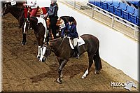 4H-State-SH-11_0254.JPG