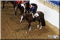 4H-State-SH-11_0255.JPG