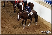 4H-State-SH-11_0256.JPG