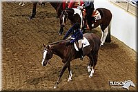 4H-State-SH-11_0257.JPG