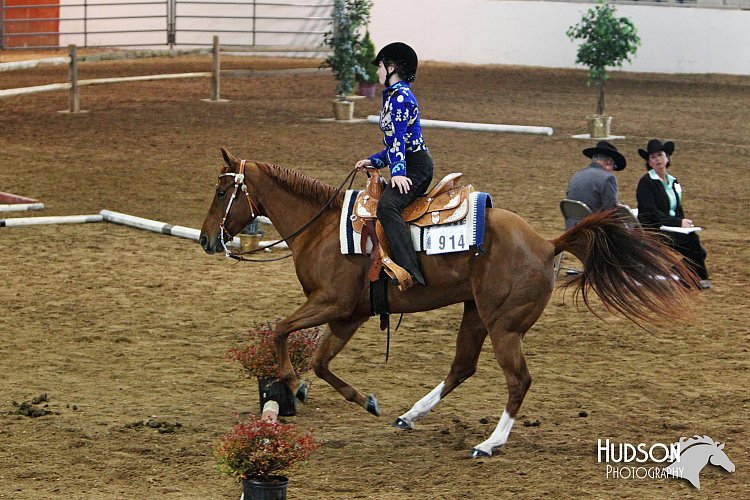 4H-State-SH-11_0301.JPG