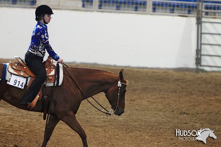 4H-State-SH-11_0315.JPG