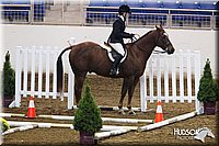 4H-State-SH-11_0371.JPG
