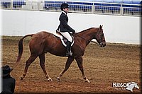 4H-State-SH-11_0386.JPG