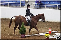 4H-State-SH-11_0387.JPG