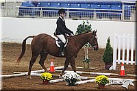 4H-State-SH-11_0388.JPG