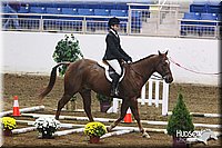 4H-State-SH-11_0389.JPG