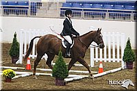 4H-State-SH-11_0390.JPG