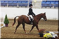 4H-State-SH-11_0391.JPG