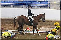 4H-State-SH-11_0392.JPG
