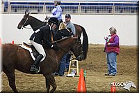 4H-State-SH-11_0398.JPG