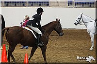4H-State-SH-11_0402.JPG