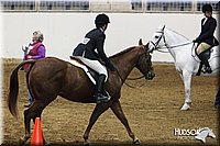 4H-State-SH-11_0403.JPG