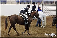 4H-State-SH-11_0404.JPG