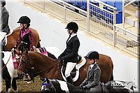 4H-State-SH-11_0407.JPG