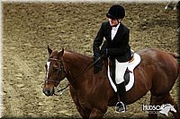4H-State-SH-11_0412.JPG