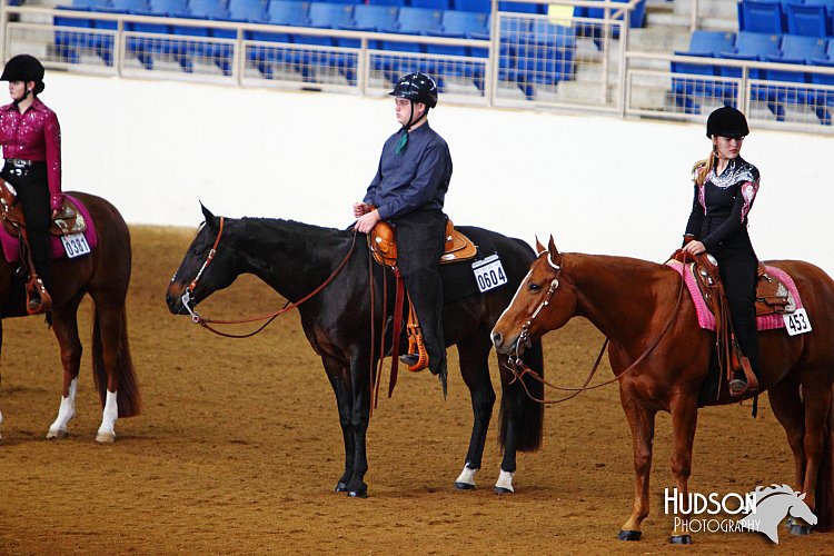 4H-State-SH-11_1443.JPG
