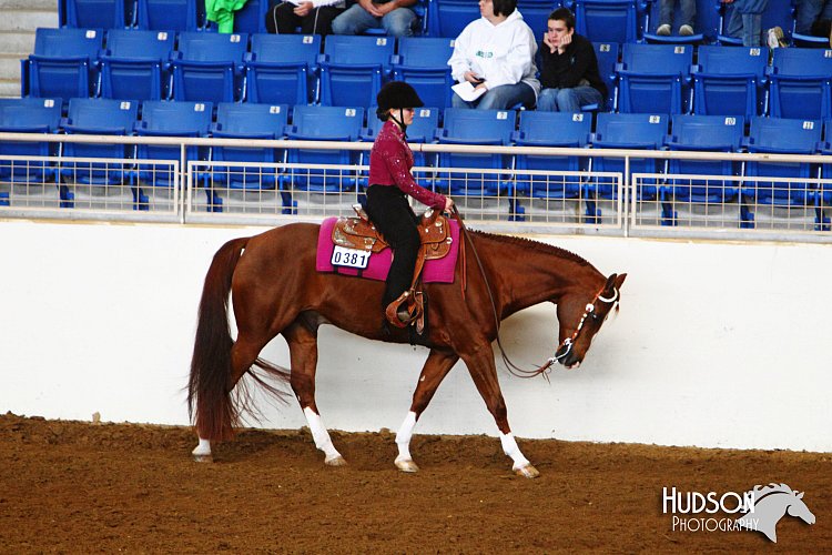 4H-State-SH-11_1425.JPG