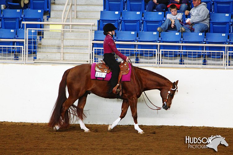 4H-State-SH-11_1426.JPG