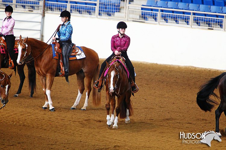 4H-State-SH-11_1447.JPG
