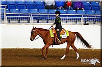 4H-State-SH-11_1365.JPG