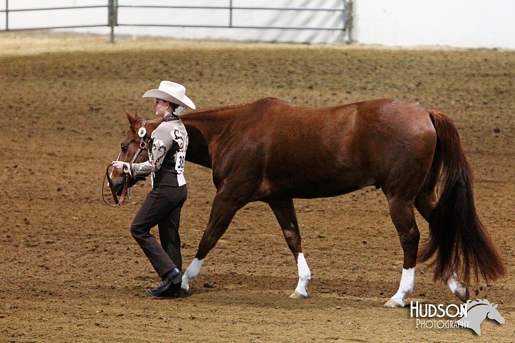 4H-State-SH-11_1231.JPG