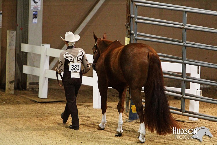 4H-State-SH-11_1232.JPG