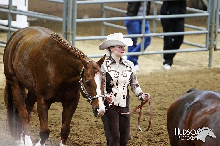 4H-State-SH-11_1234.JPG