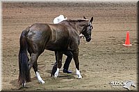 4H-State-SH-11_1217.JPG