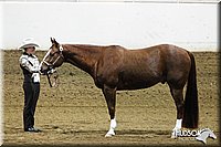 4H-State-SH-11_1223.JPG