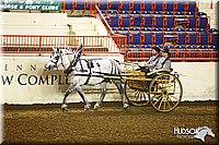 Draft-Horse-Driving