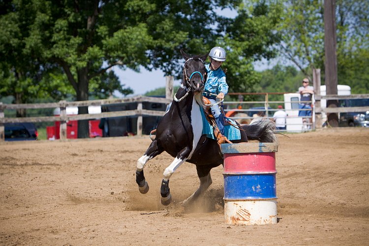 4H-Fun-Show-060912-237.JPG