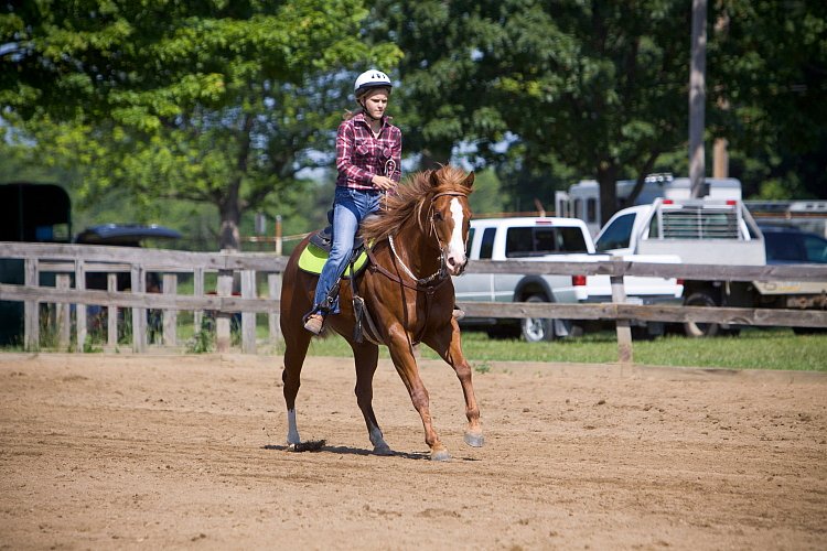 4H-Fun-Show-060912-242.JPG