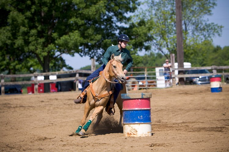 4H-Fun-Show-060912-250.JPG