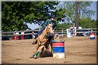 4H-Fun-Show-060912-250.JPG