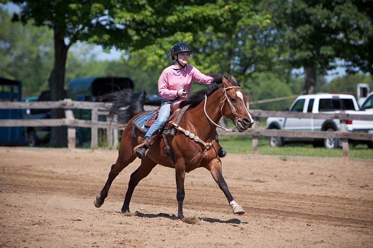 4H-Fun-Show-060912-342.JPG