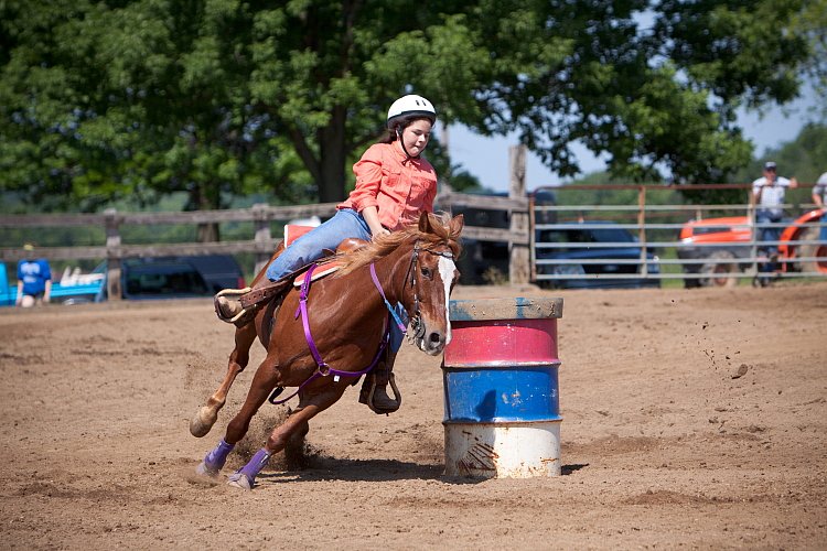 4H-Fun-Show-060912-347.JPG